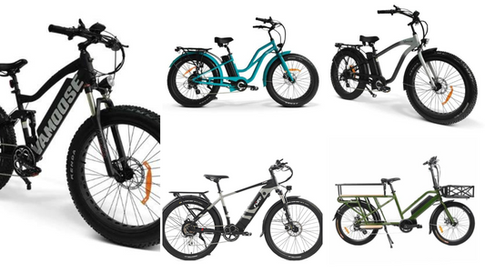 End Of Season E-Bike Sale!