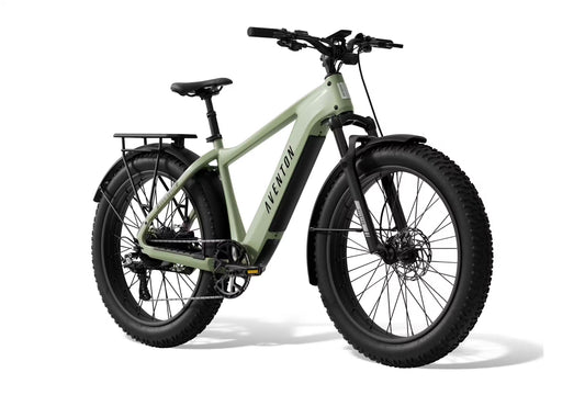 Aventon Aventure 3 E-Bike