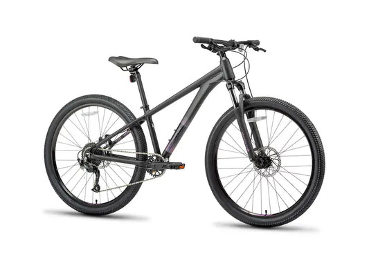 Batch Disc Brake Mountain Bike