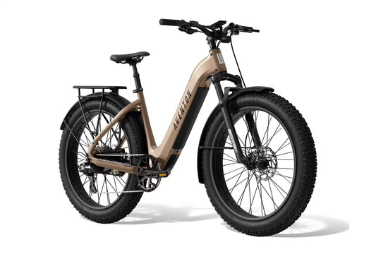 Aventon Aventure 3 Step Through E-Bike
