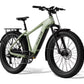 Aventon Aventure 3 E-Bike