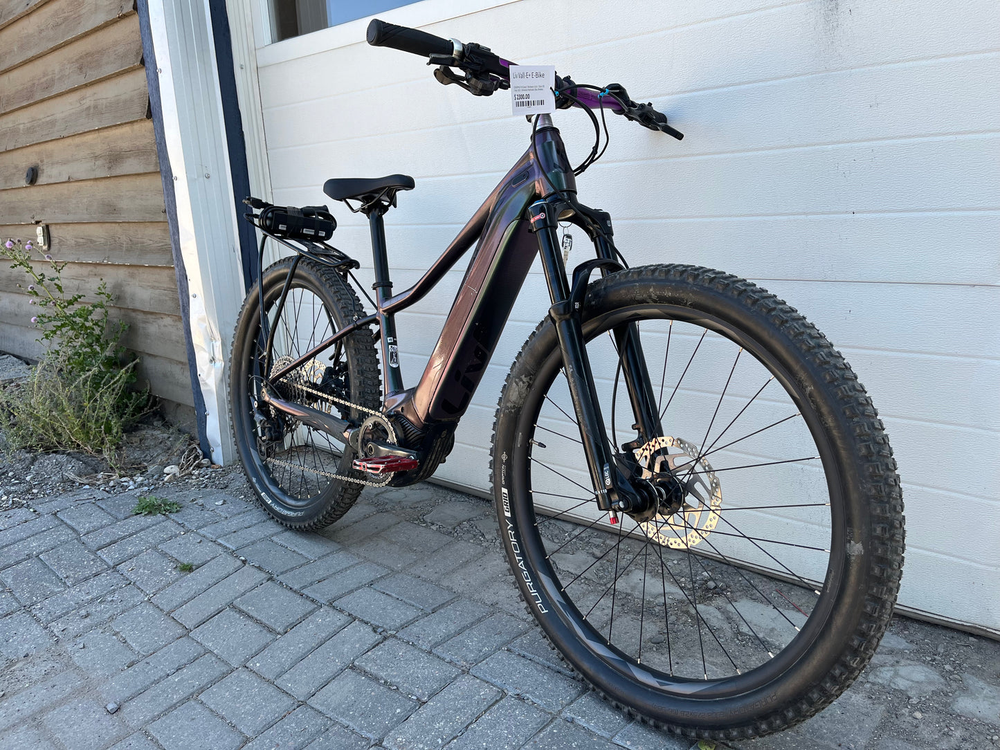 Liv Vall-E+ E-Bike