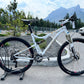 Xprezo S-650 Custom Built Full Suspension Mountain Bike