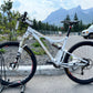 Xprezo S-650 Custom Built Full Suspension Mountain Bike