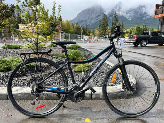 Rocky Mountain Whistler Cruiser Bike