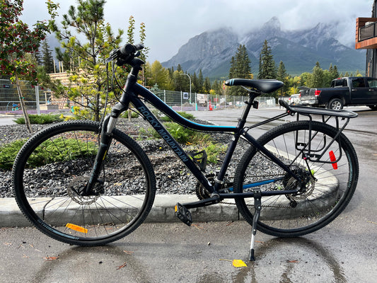 Rocky Mountain Whistler Cruiser Bike