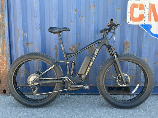 Bulls Monster EFS Fat Tire E-Bike