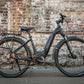 Bosch Step-Through Plus E-Bike - RETAIL - $3,799