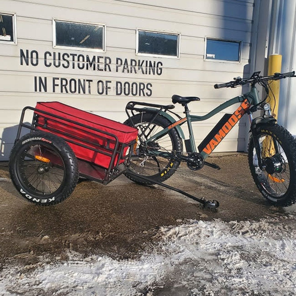 Ziflex bike hot sale trailer